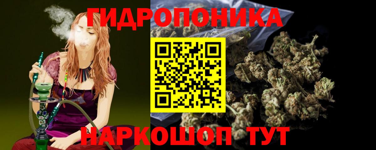 Бошки марихуана планчик Сегежа
